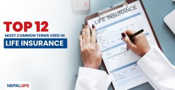 Top 12 Most Common Terms Used in Life Insurance