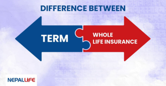 Basic Difference between Term Vs Whole Life Insurance